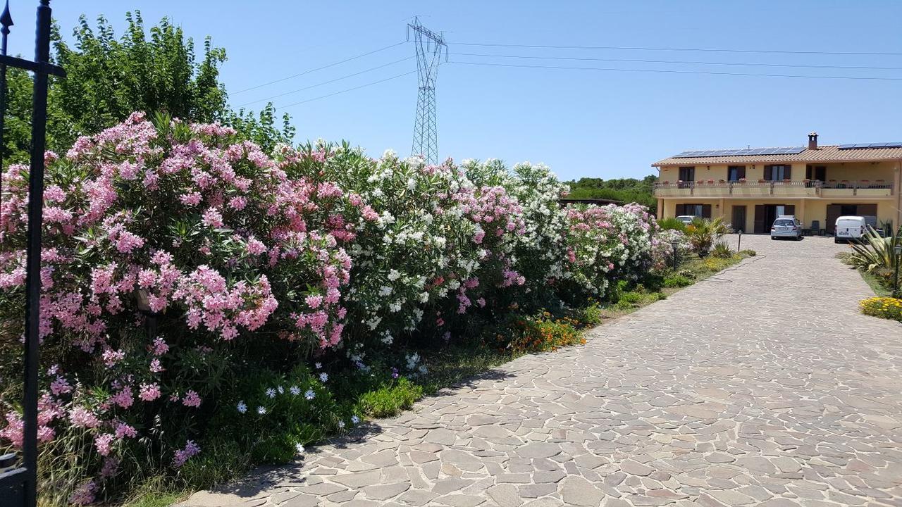 גונזה B&B Su Tintillu מראה חיצוני תמונה